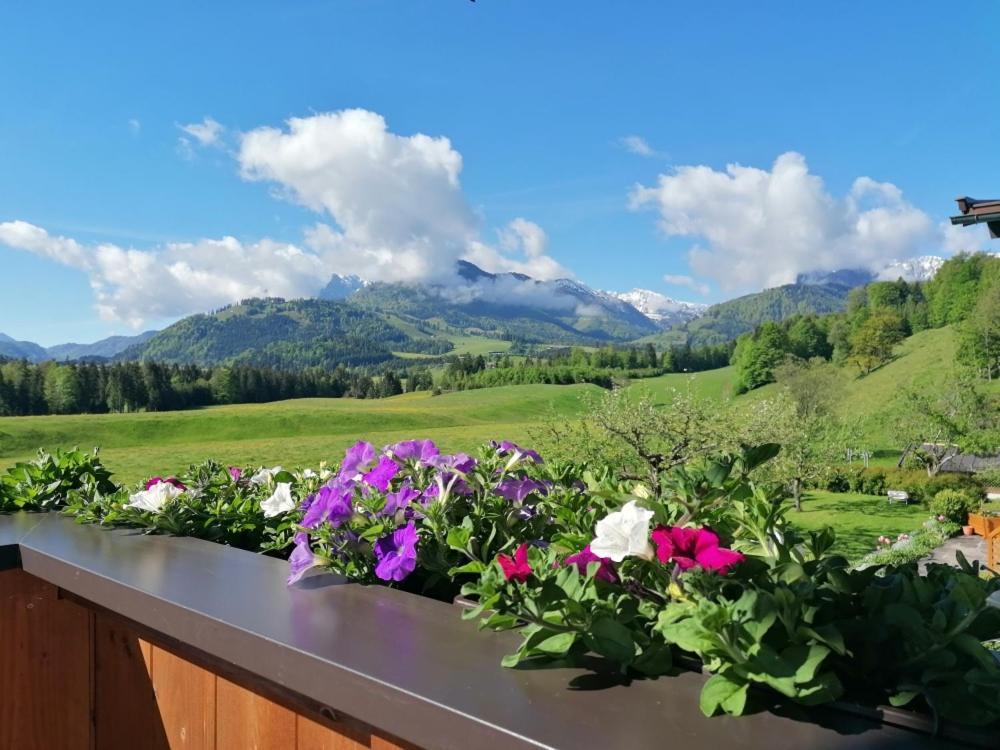 Bergblick Kossen