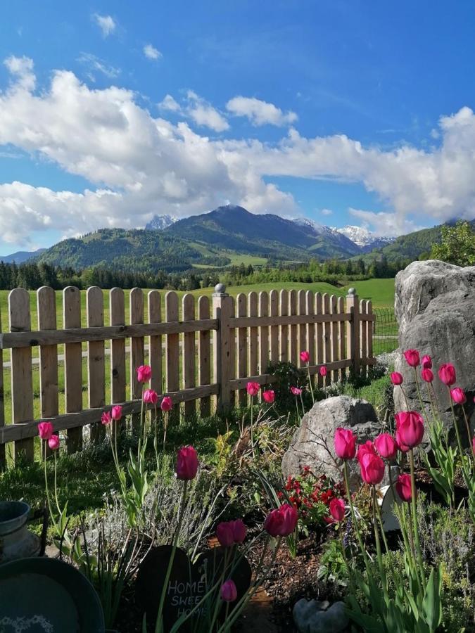 Bergblick *