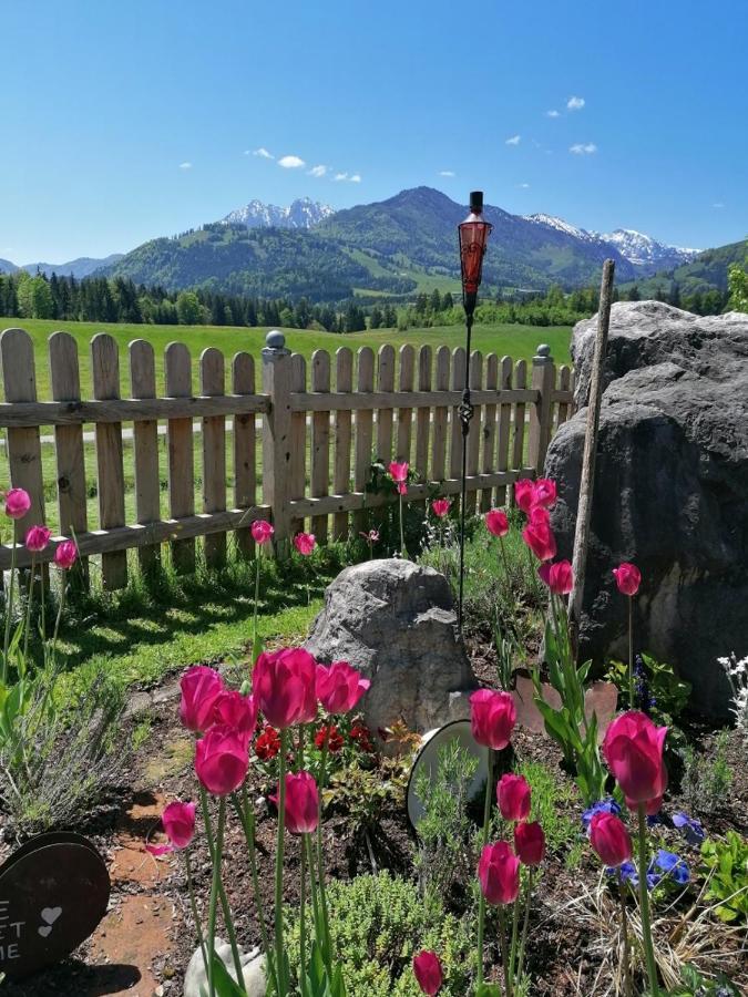 Bergblick Apartment *